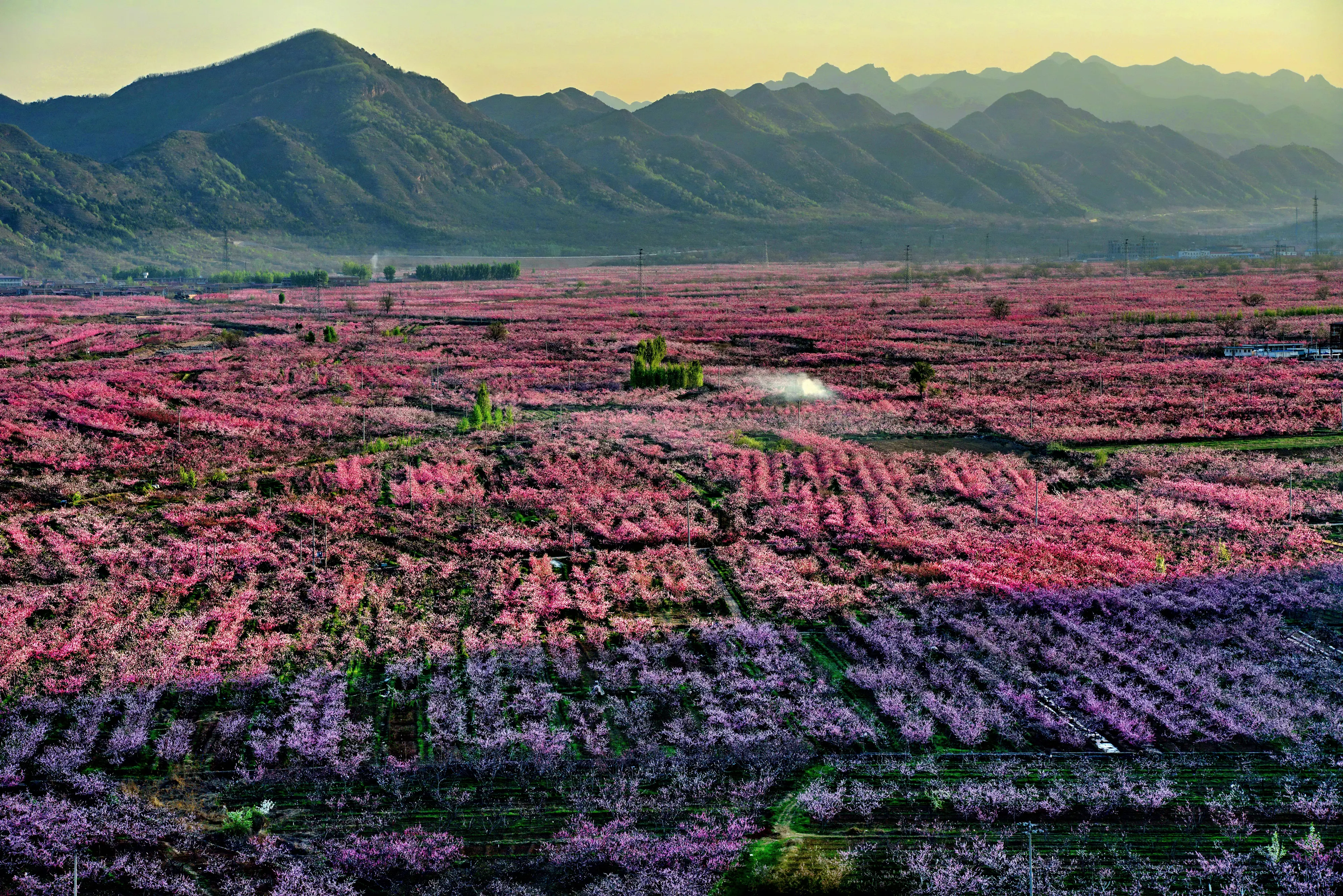 最美桃花源北京房山图片