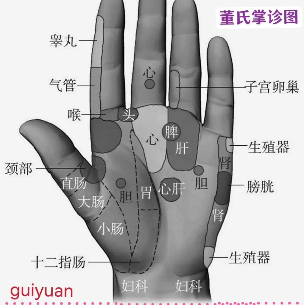 学习和收集( 董氏奇穴创始人董景昌用手诊面诊看病 )的知识