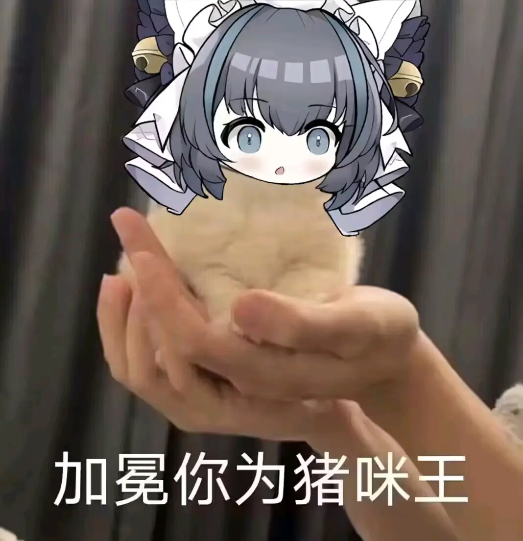 群里偷的猪咪表情包