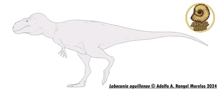 分享古生物图片(第二十八期) - 哔哩哔哩