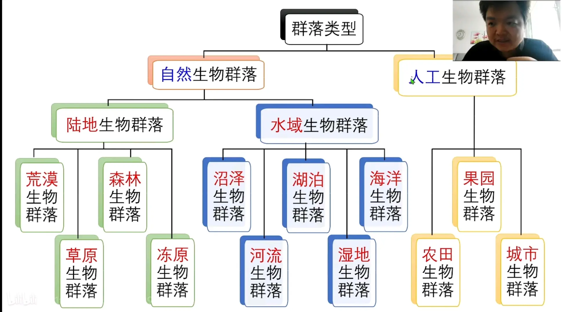 群落及其演替概念图图片