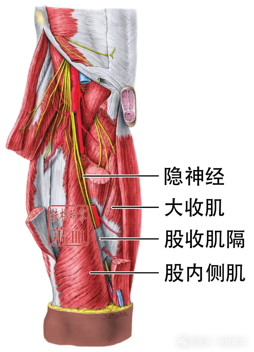 神经操作|股神经 - 哔哩哔哩