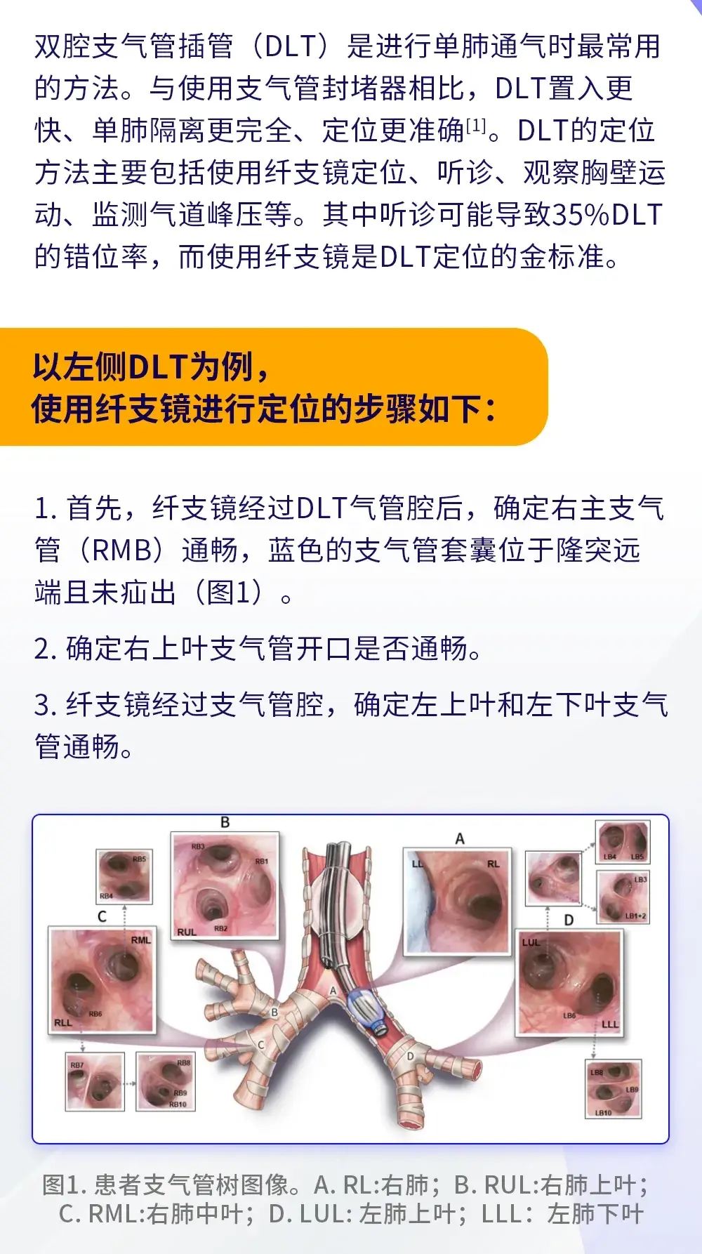 双腔气管导管图解图片