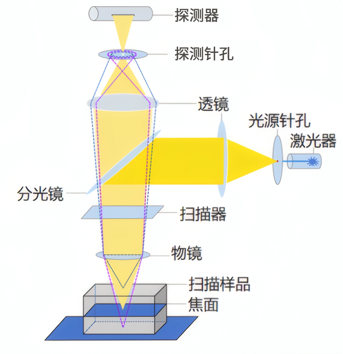 共聚焦显微镜（LSCM）的针孔效应 - 哔哩哔哩