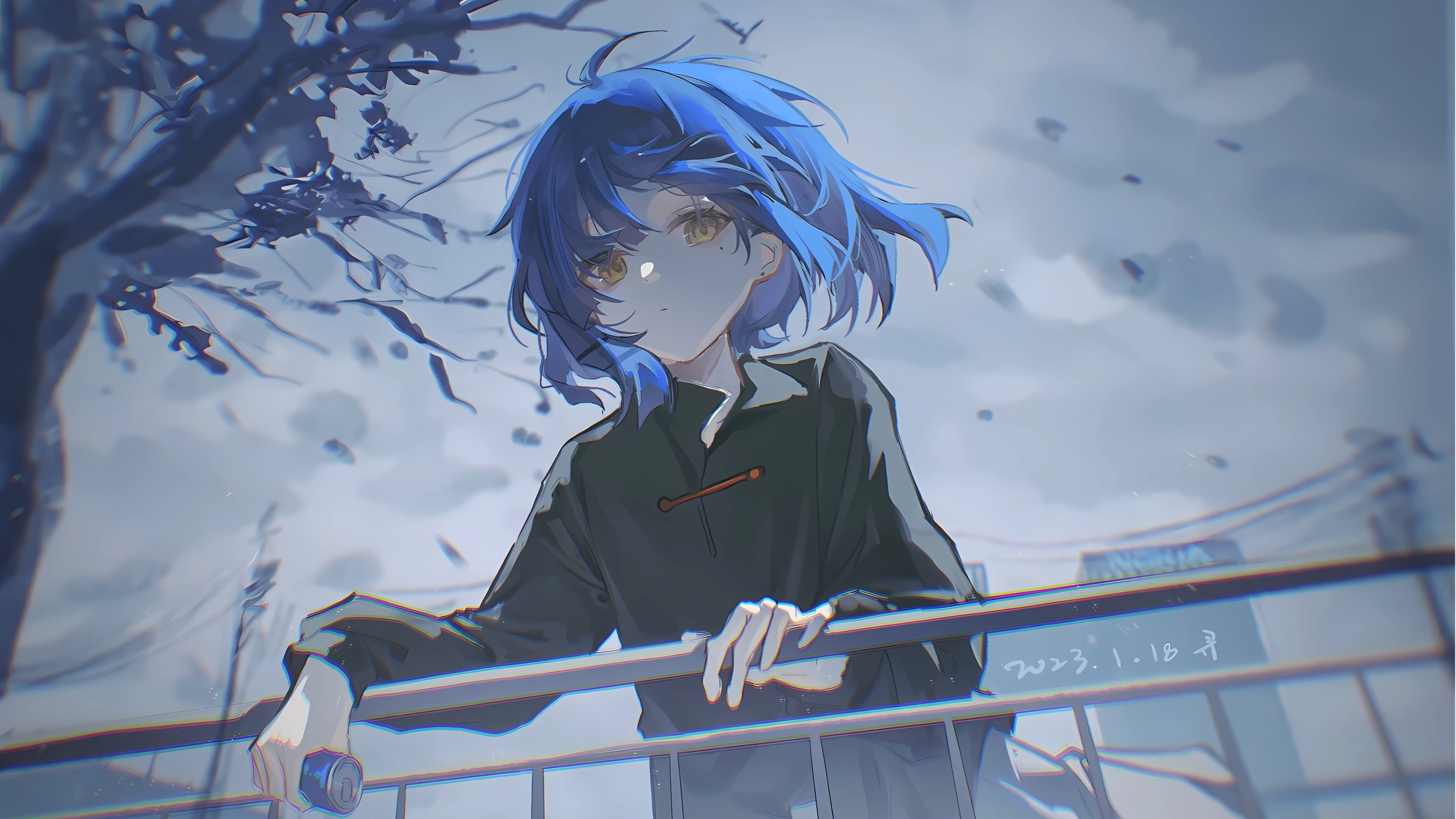 为什么我会选择自立门户