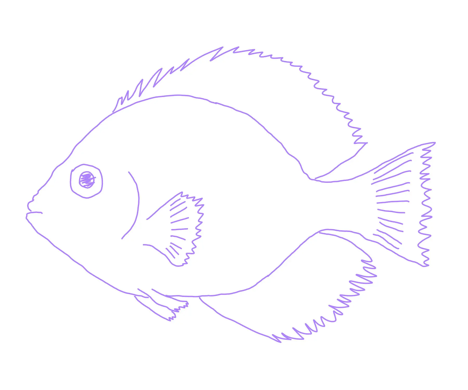 鱼 各种鱼 手绘素描