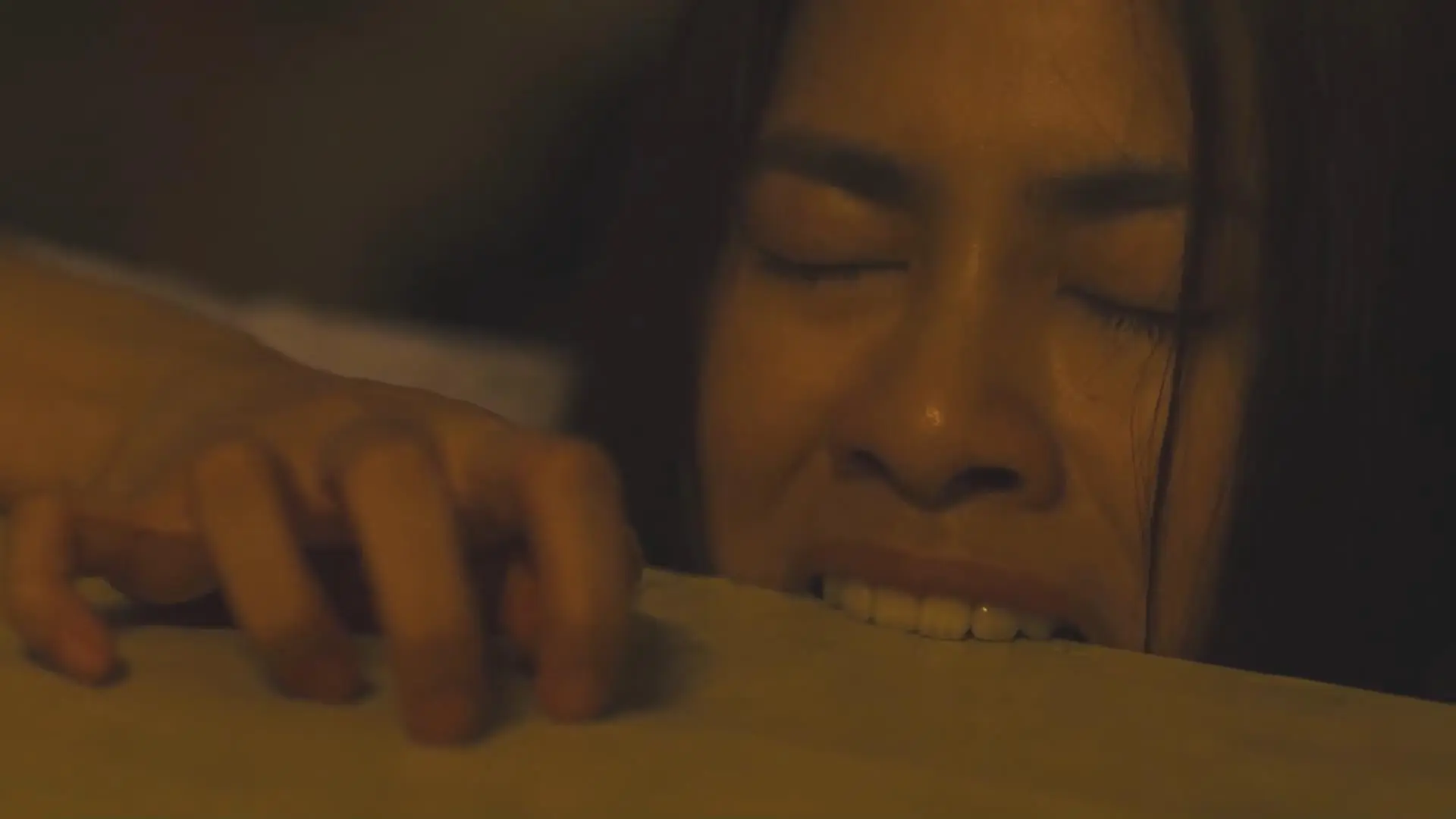 飞头降最喜欢的就是腐烂的肉类.