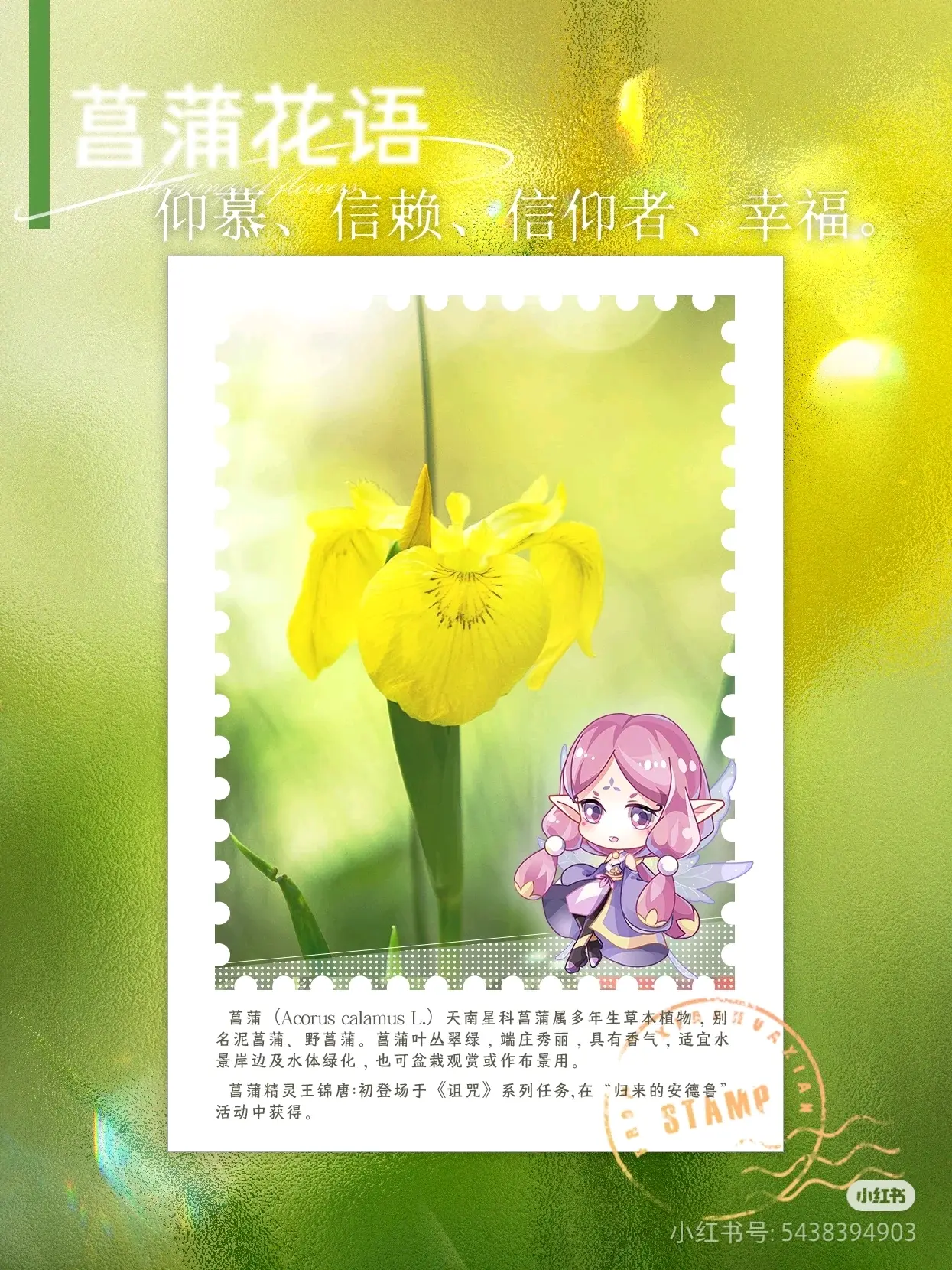 所有的花仙子来啦