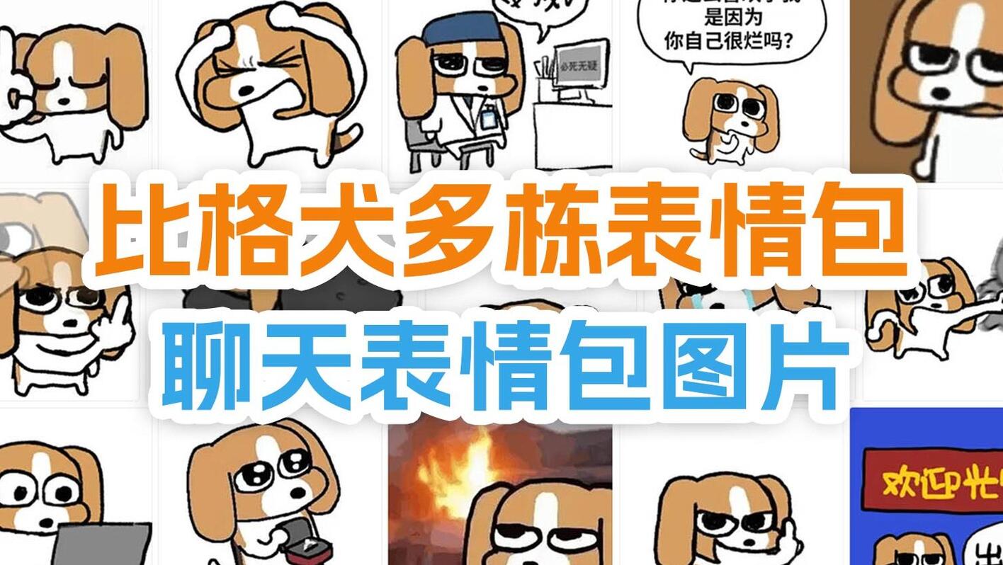 比格犬多栋表情包合集|120张动态GIF表情包|聊天斗图必备 表情包大全 - 哔哩哔哩