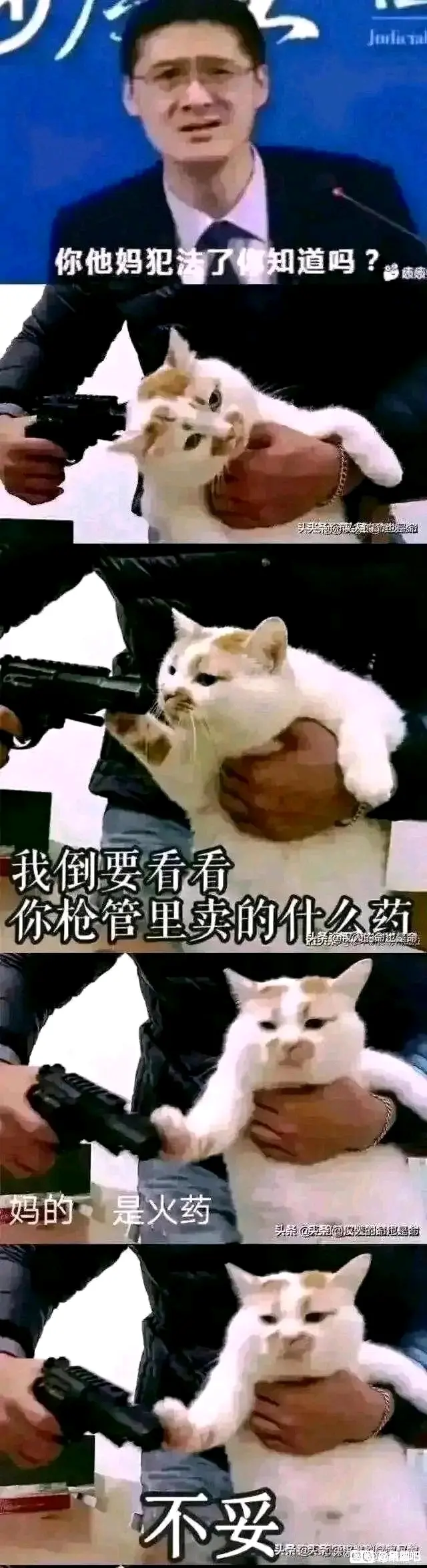 夹带私货:6号表情包夹带私货这我夹带私货:酒鬼开幕雷击谢特,昨天