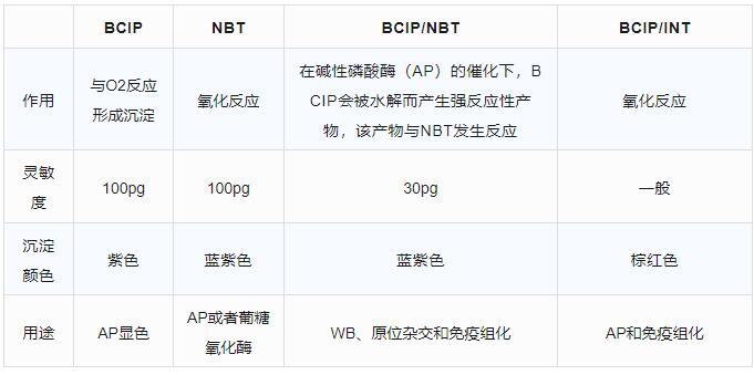 ECL、NBT/BCIP和DAB有什么区别？WB显色方法怎么选？ - 哔哩哔哩