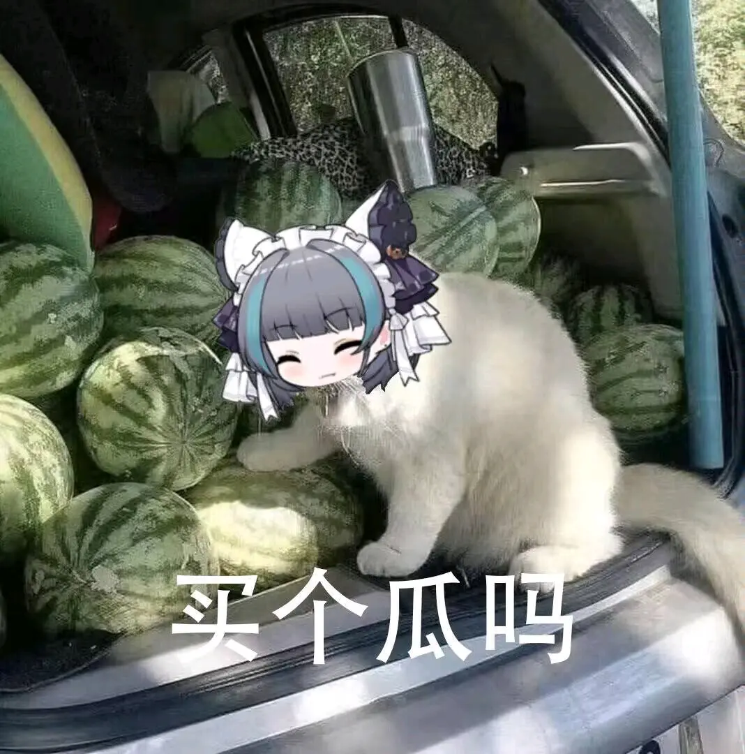 qq群和好友那边偷的表情包