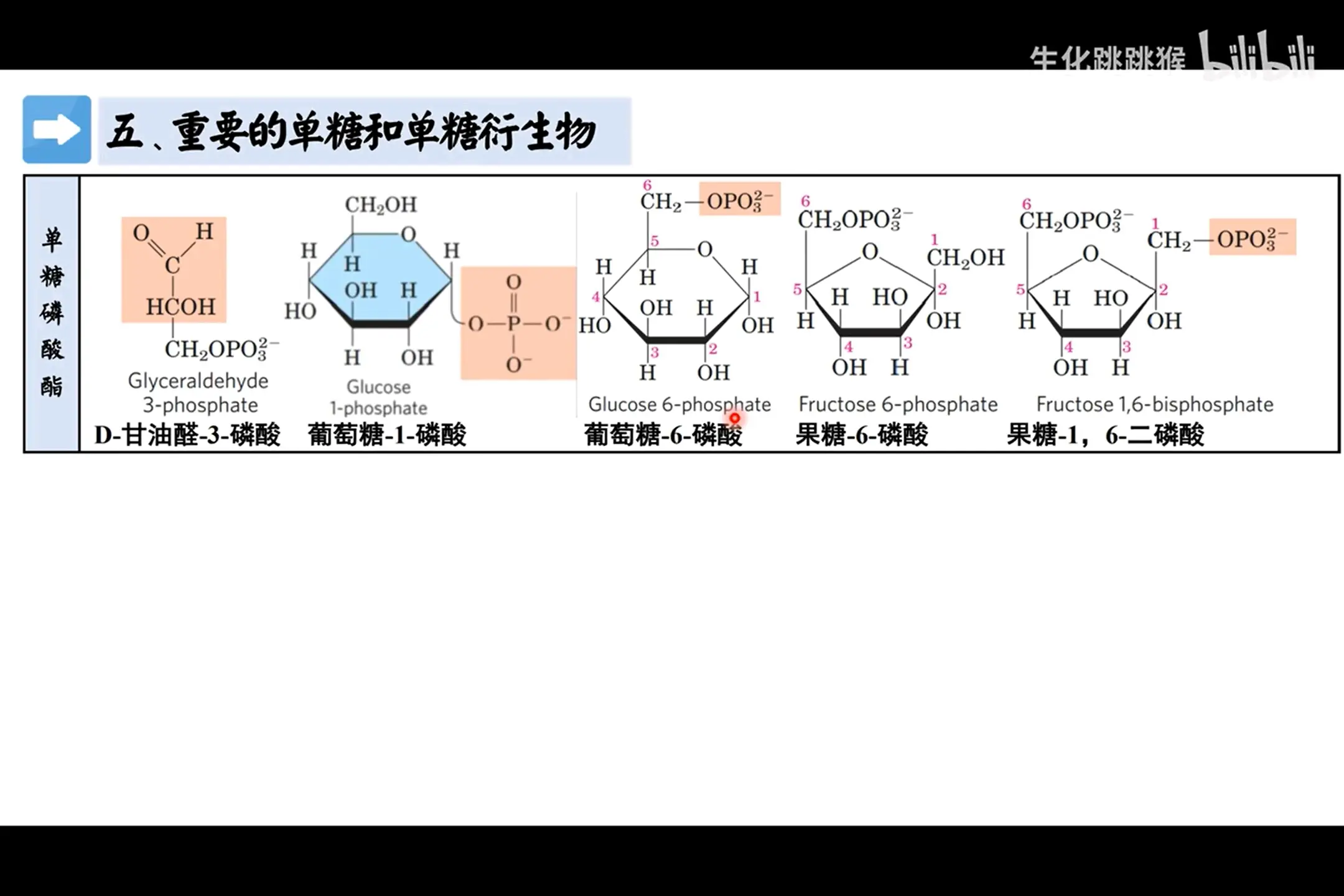 糖结构