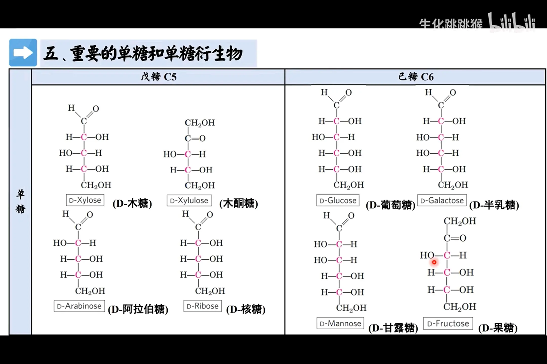 糖结构