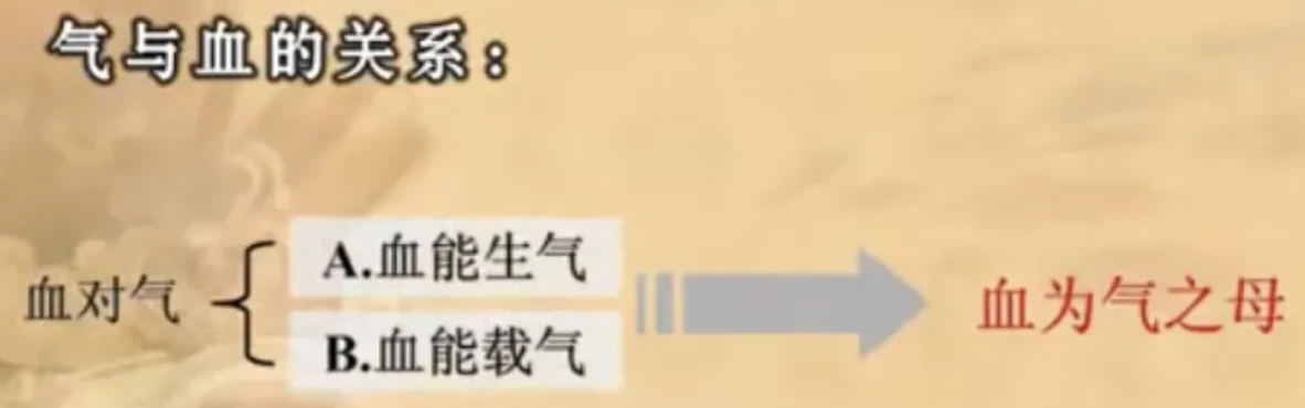 66. 潘毅老师 中医基础 精气血液神(六) - 哔哩哔哩