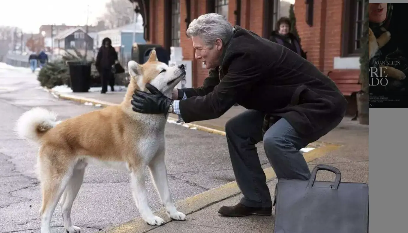 影片《忠犬八公》中八公用一生的时间等待主人,哪怕希望渺茫 院线同步