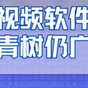 免费录制视频软件排行2025年大洗牌，只有这七棵常青树屹立不倒