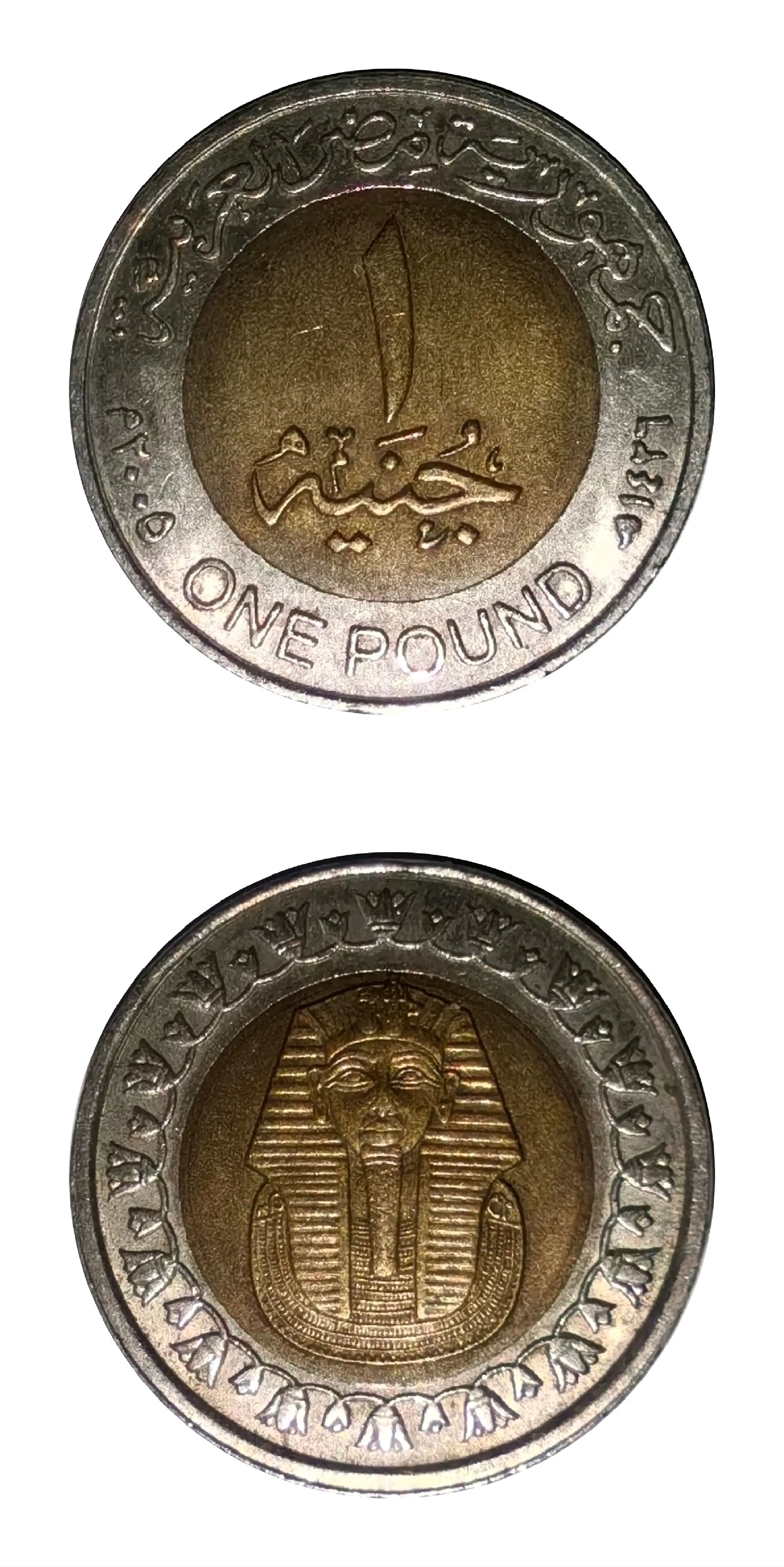 钱币收藏——1 埃及镑