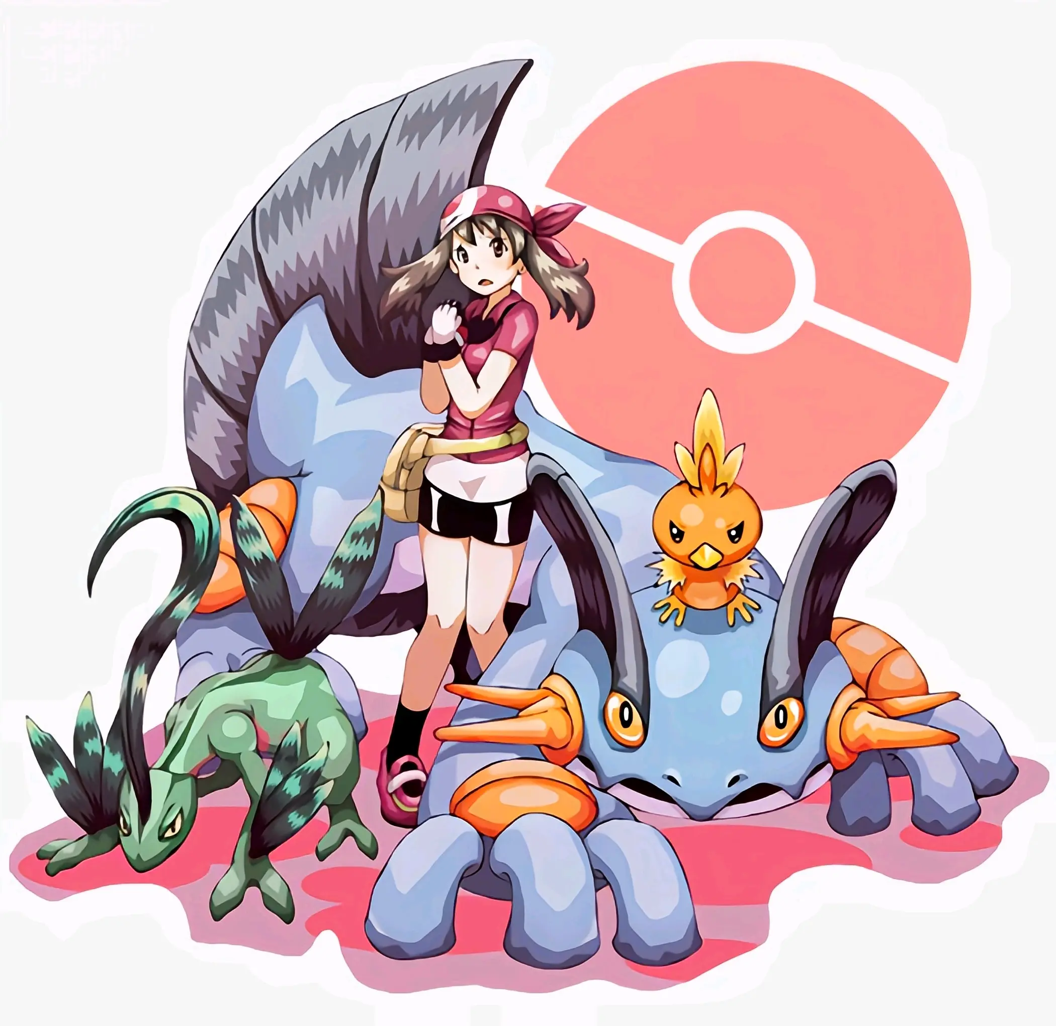 宝可梦 - 哔哩哔哩