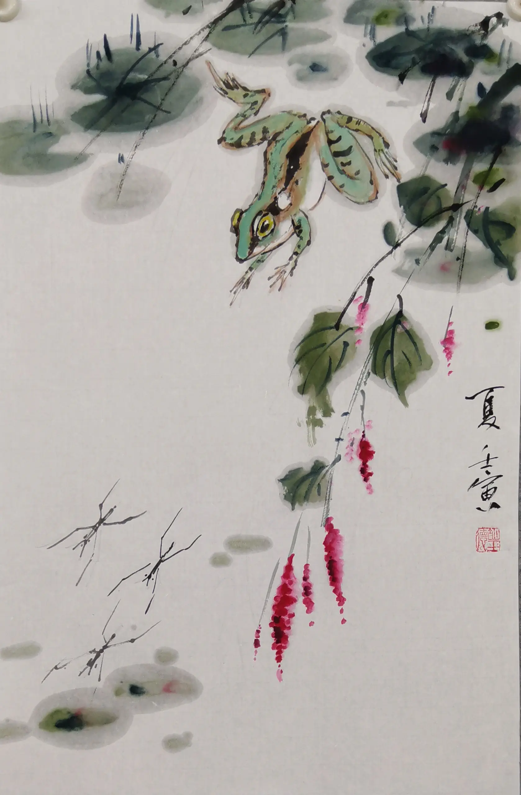 蛙鸣荷叶舞清风