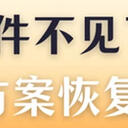 u盘里的文件不见了怎么恢复正常？为你详细解读5种方案