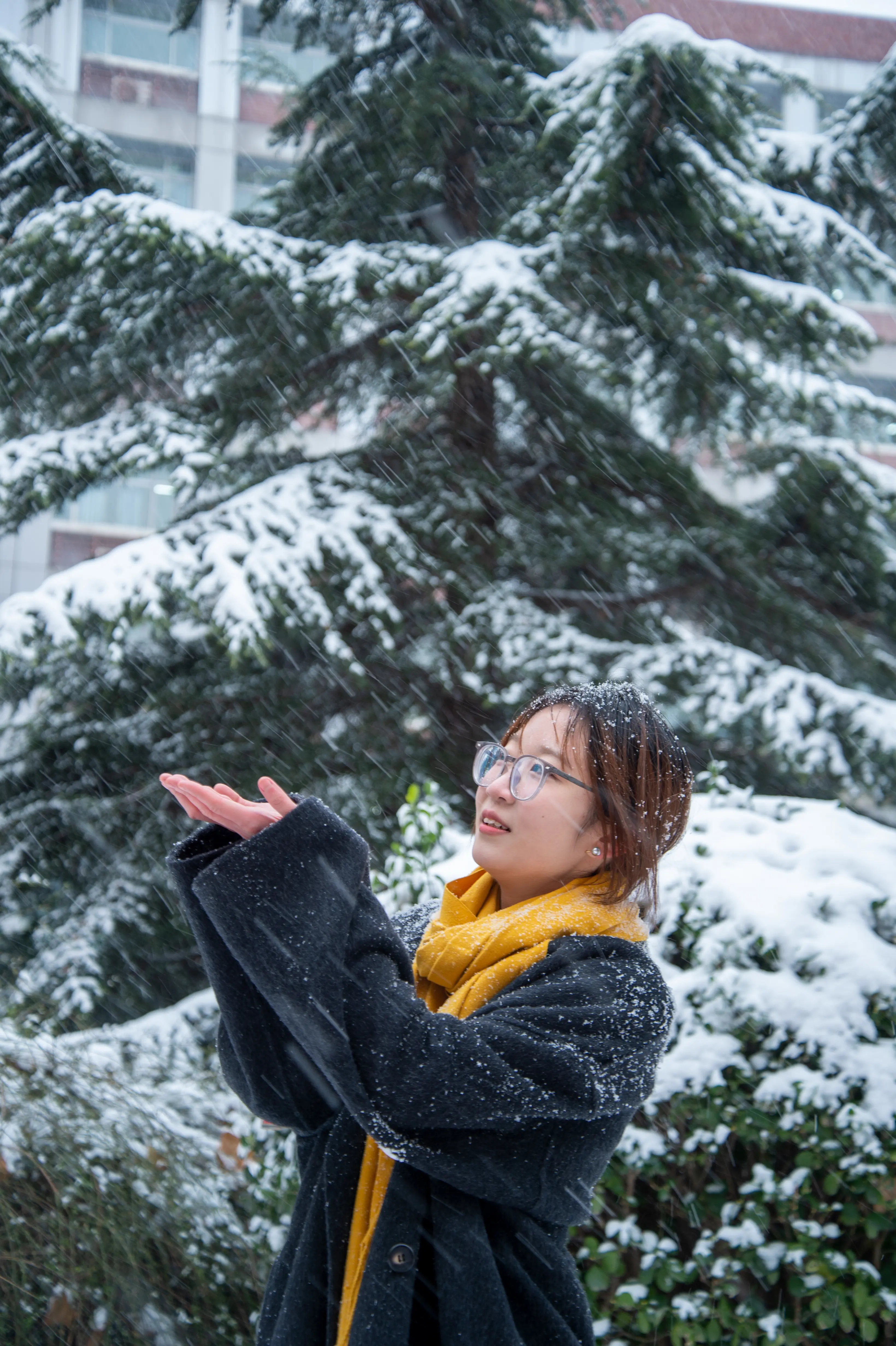 赞美拍雪景照片的人图片