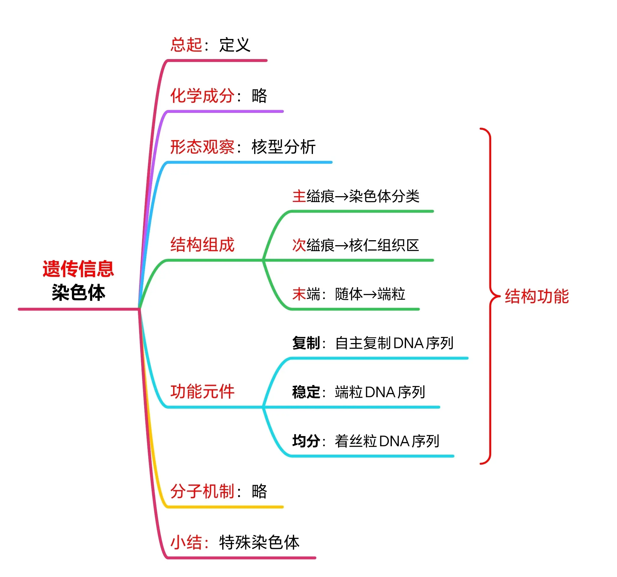 染色体成分图片