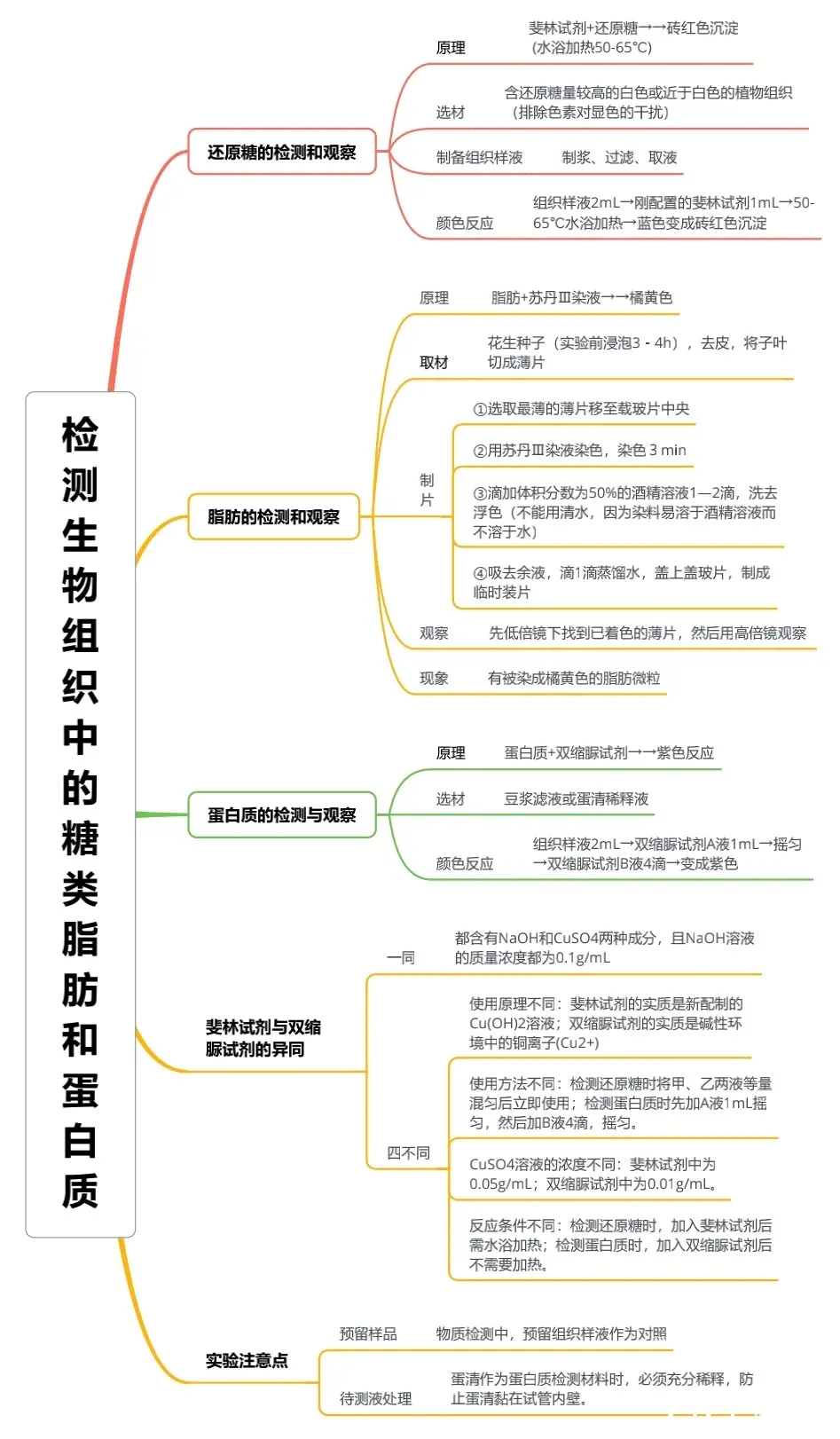思维导图 必修一 第二章 组成细胞的分子