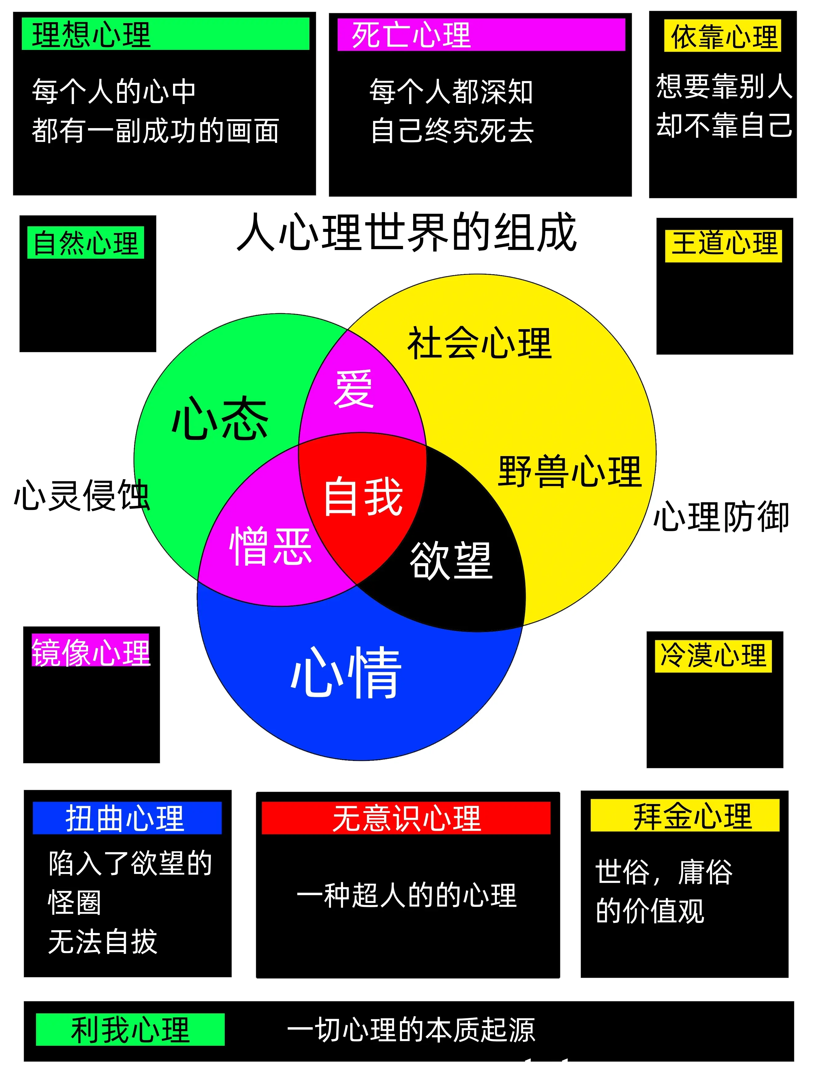 【人类心理的研究和观察(2024:06:13)