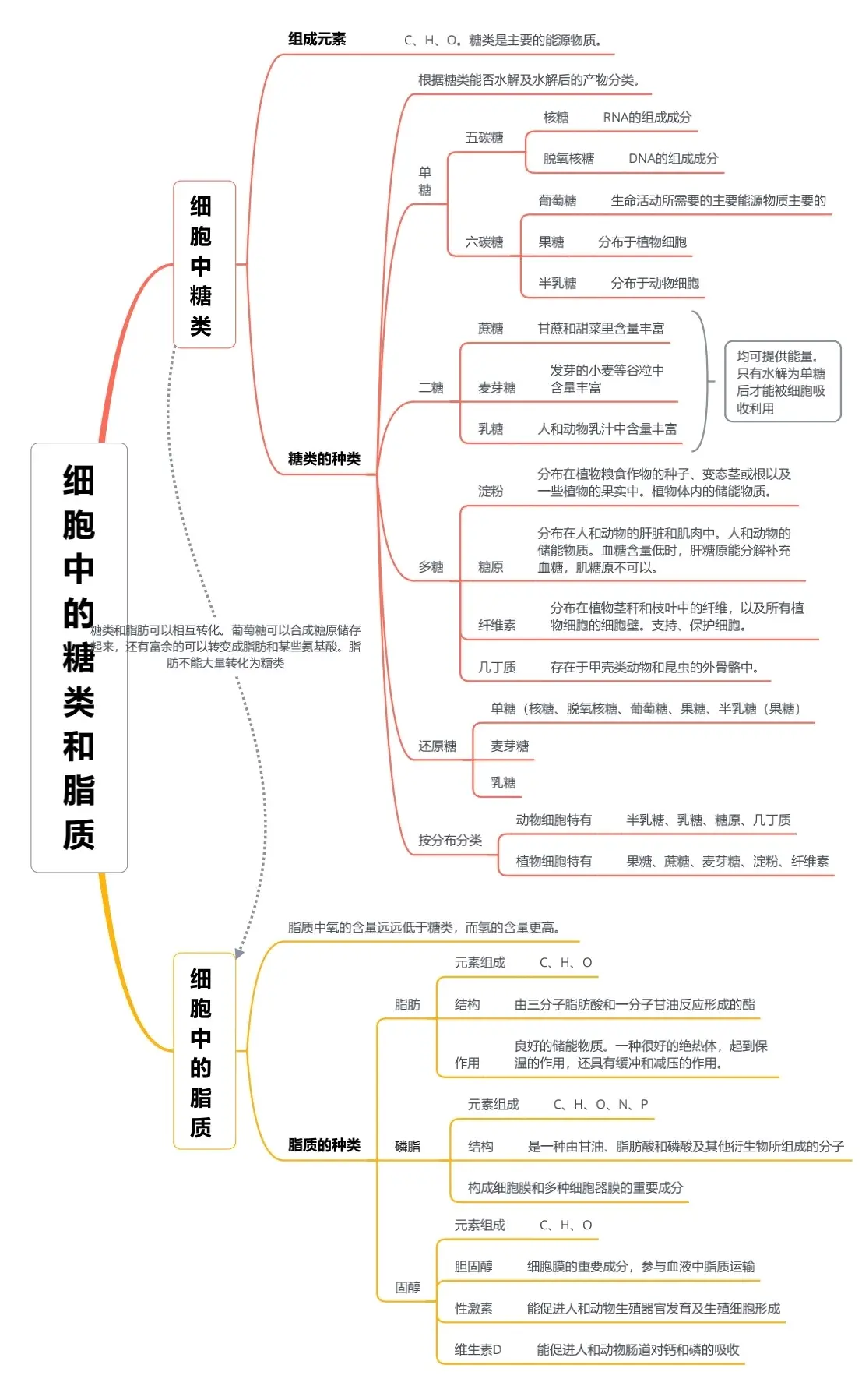 思维导图 必修一 第二章 组成细胞的分子