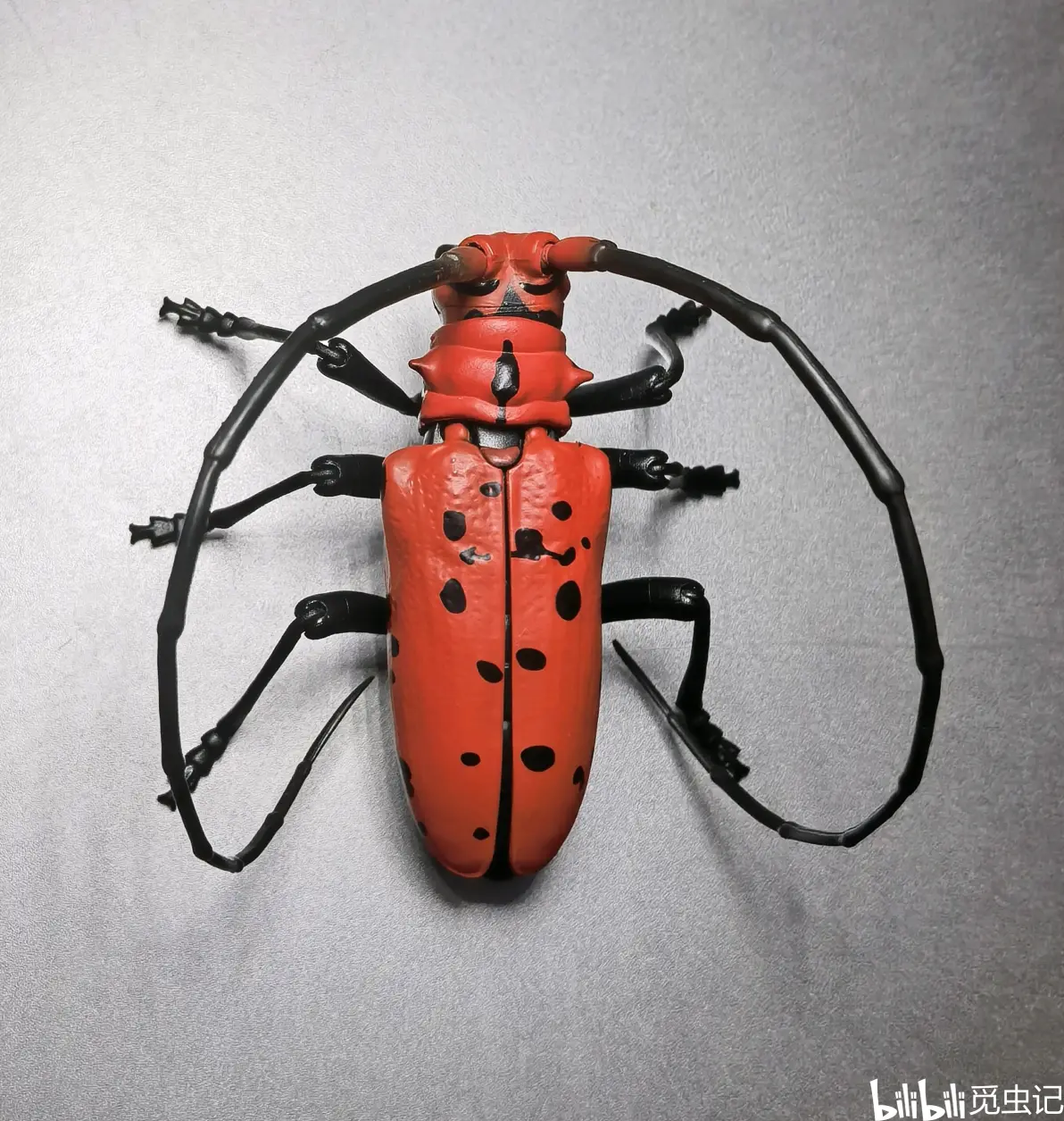 万代生物大图鉴系列测评