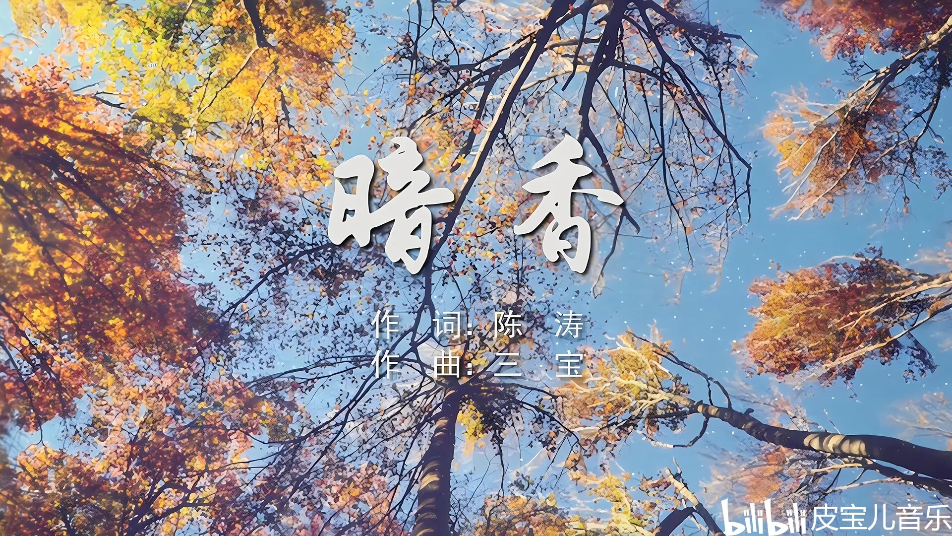 沙宝亮与《金粉世家》的永恒旋律:《暗香》音乐点评