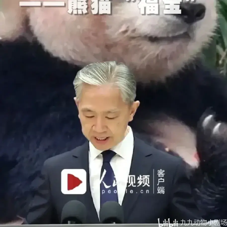 韩国民众青瓦台请愿挽留福宝