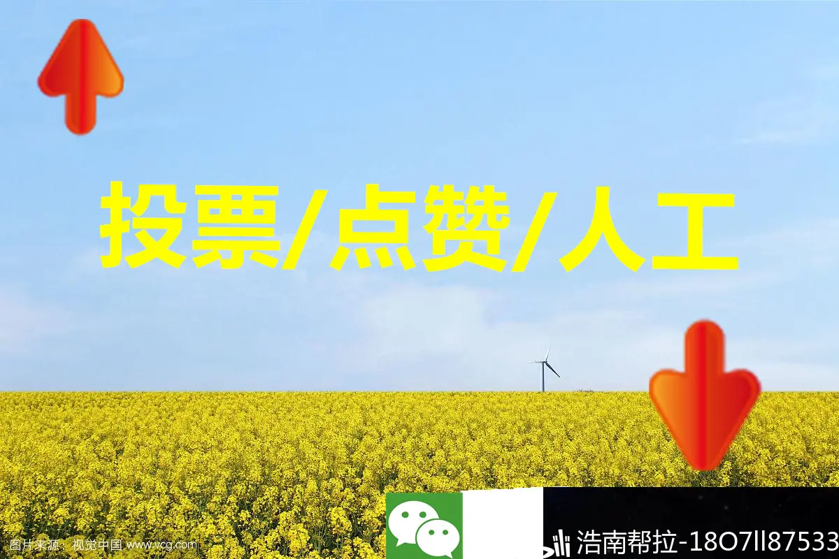 投票怎么快速拉票(投票怎么快速拉票朋友圈)