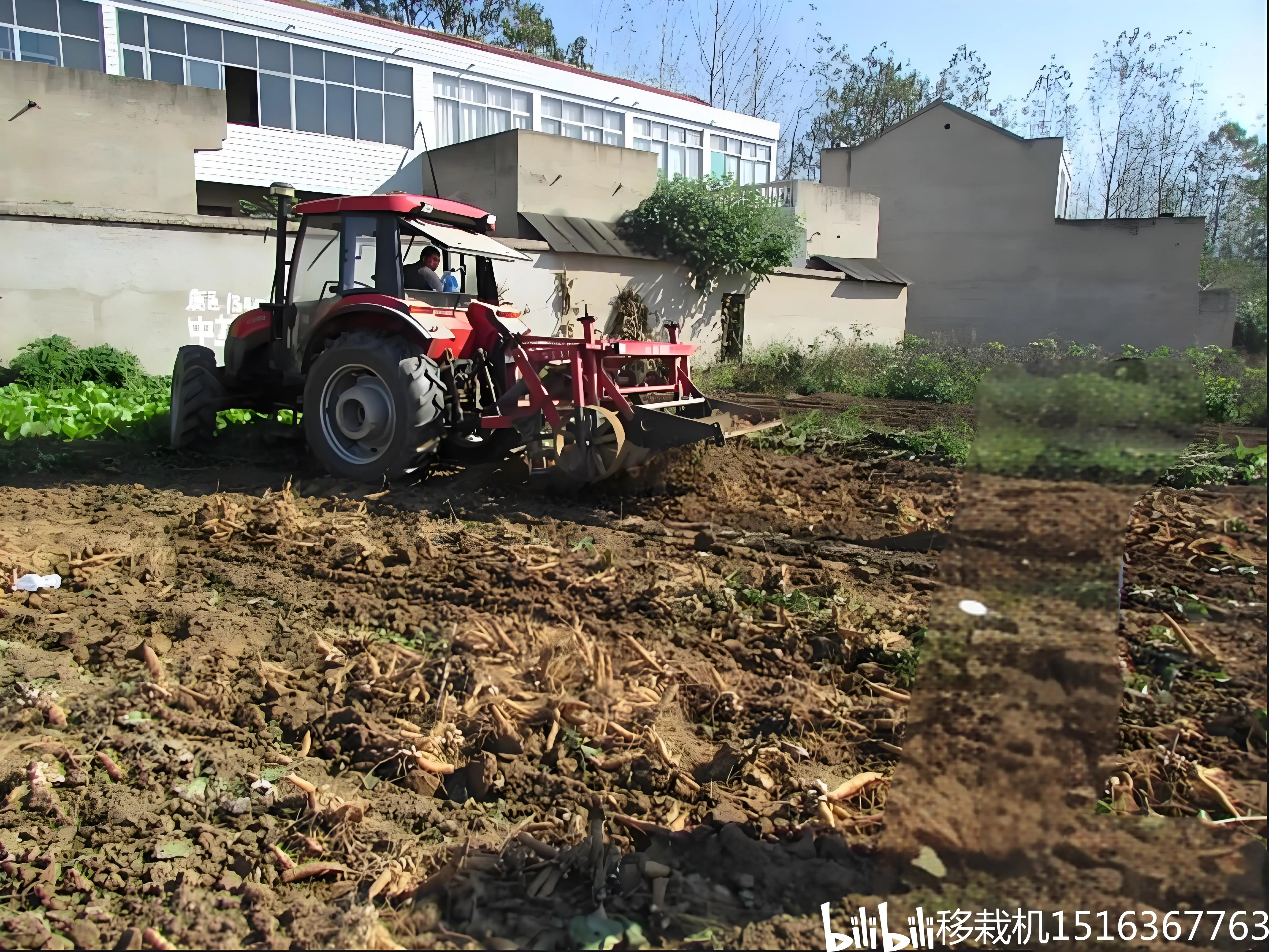 中药材收获机 贝母药材起药机 材收割机 药材收割机 深挖药材机械 起