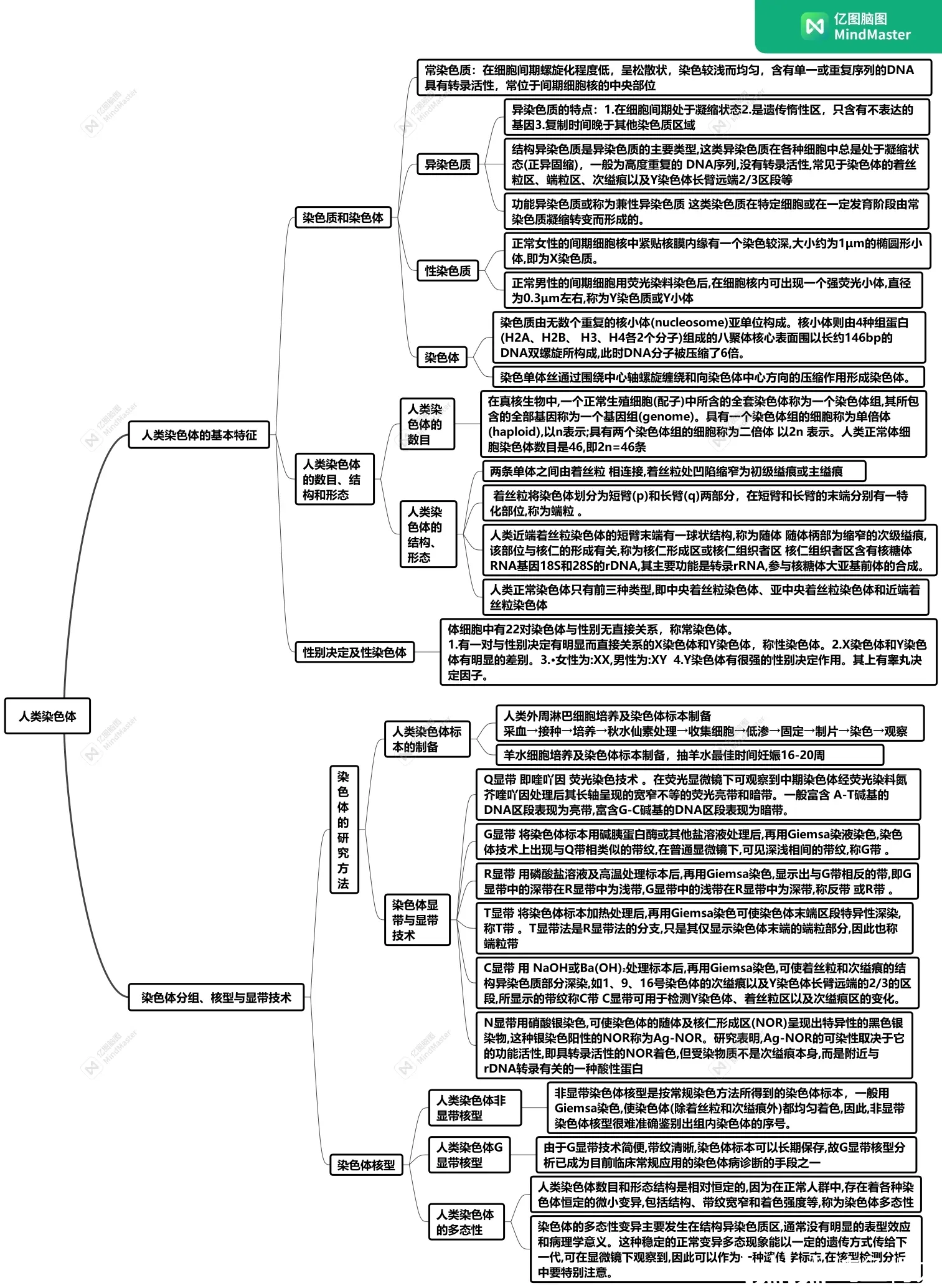 遗传学应用的思维导图图片