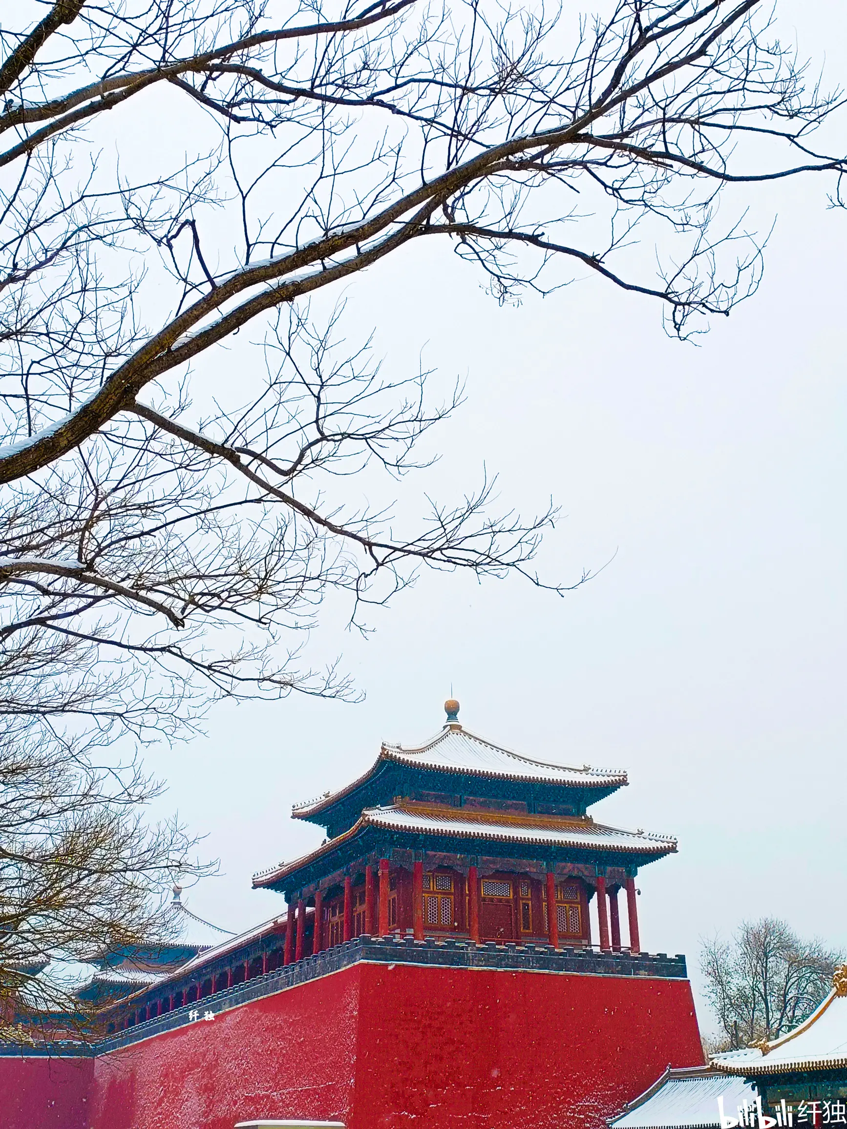 红墙白雪,岁月满苍苔图片