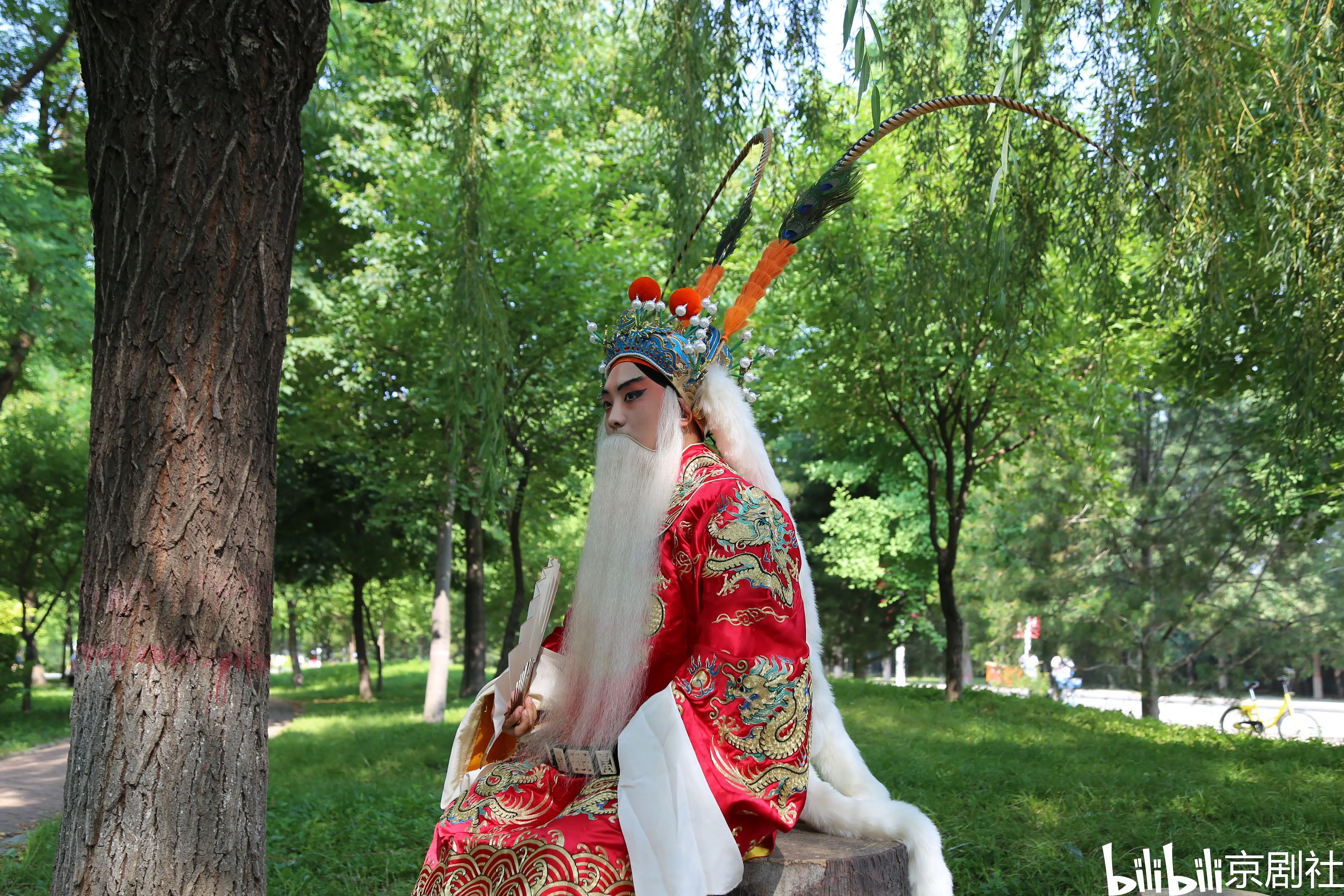 杨延辉(乌纱帽,驸马套,翎子,狐尾,红团龙蟒,黑三):程敬思(乌纱帽,绿团