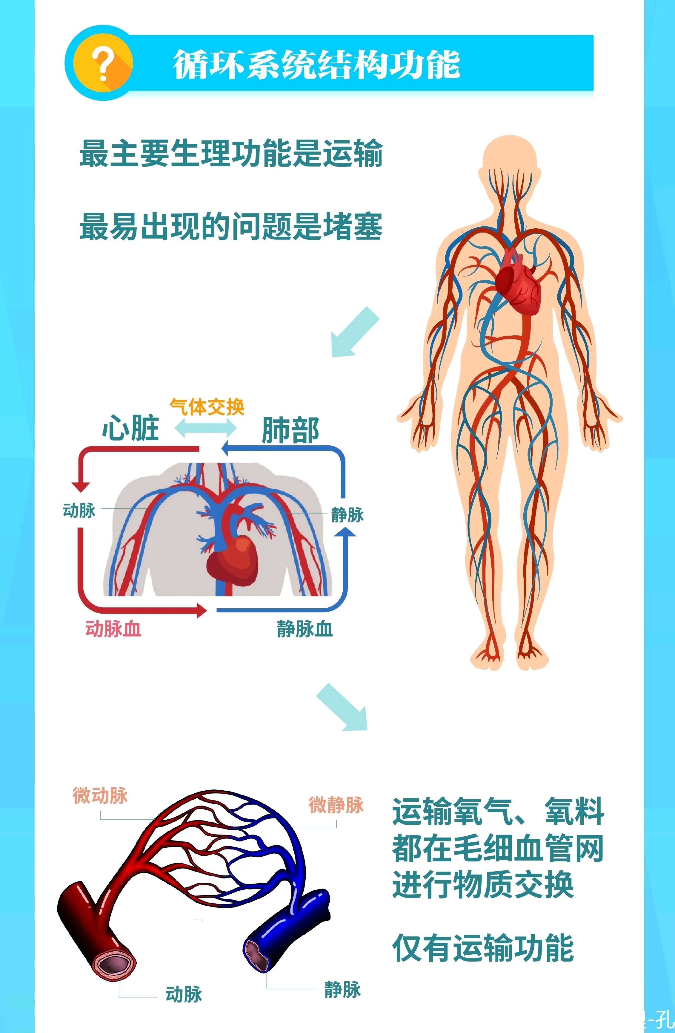 自循环通气管道系统图片