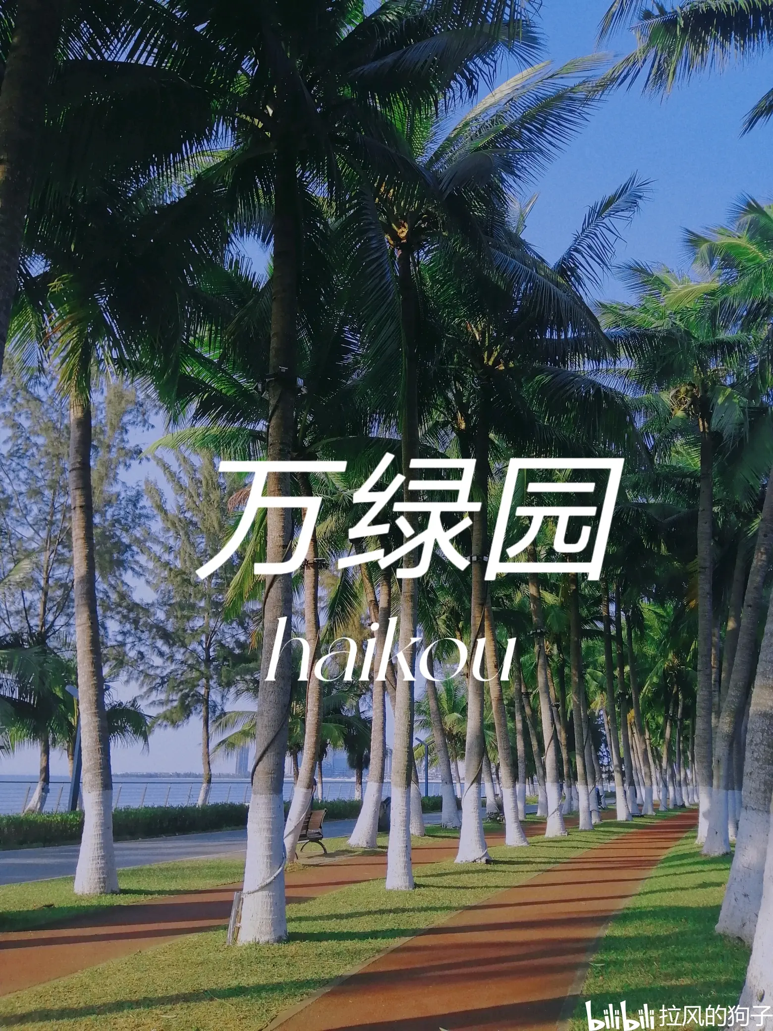 海口最具滨海城市魅力的万绿园