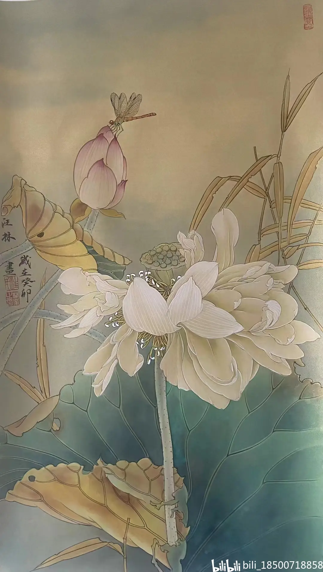 工笔画家汪林老师工笔画作品(荷花)五幅作品欣赏