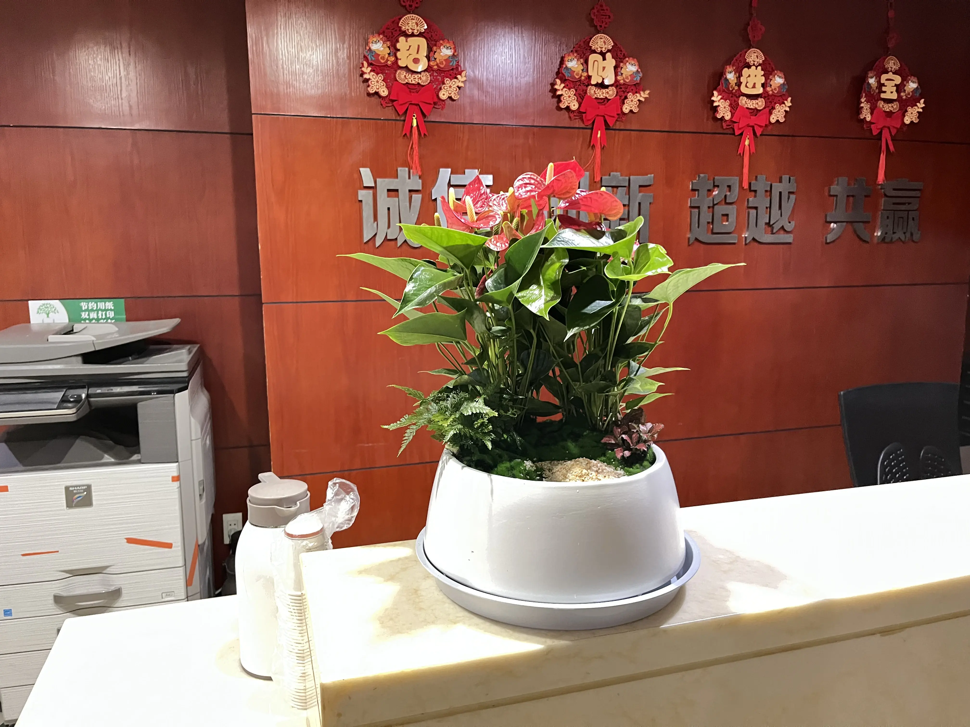 根据空间大小选择植物:大型植物适合宽敞的区域,如会议室,大厅;小型