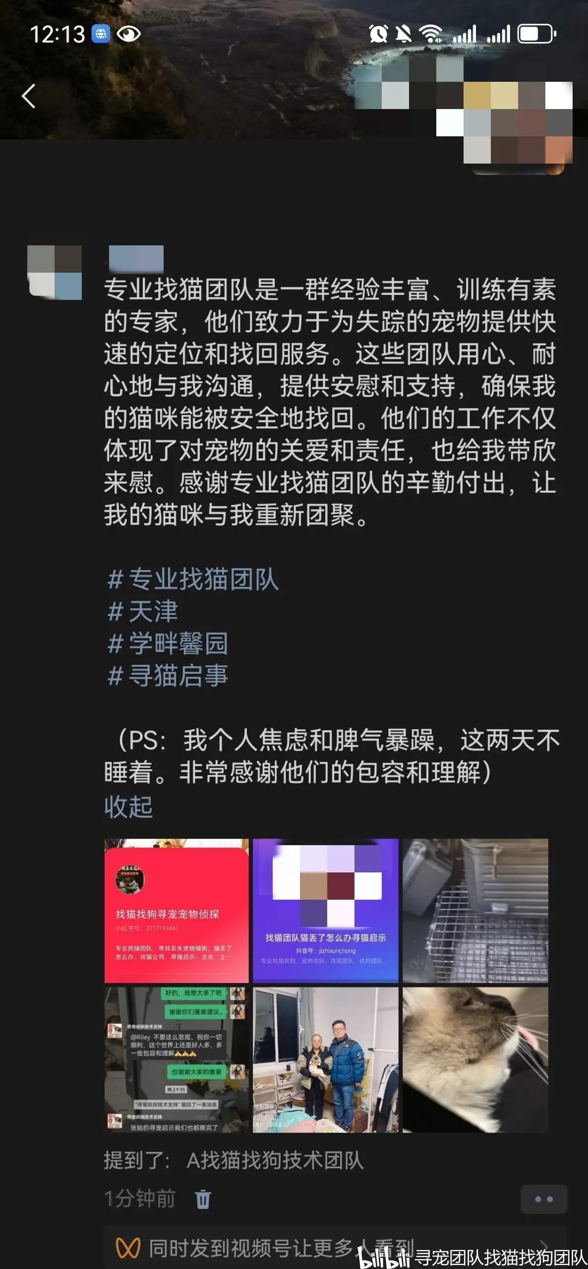 找猫团队免费搜索网站_找猫团队免费搜索网站是什么