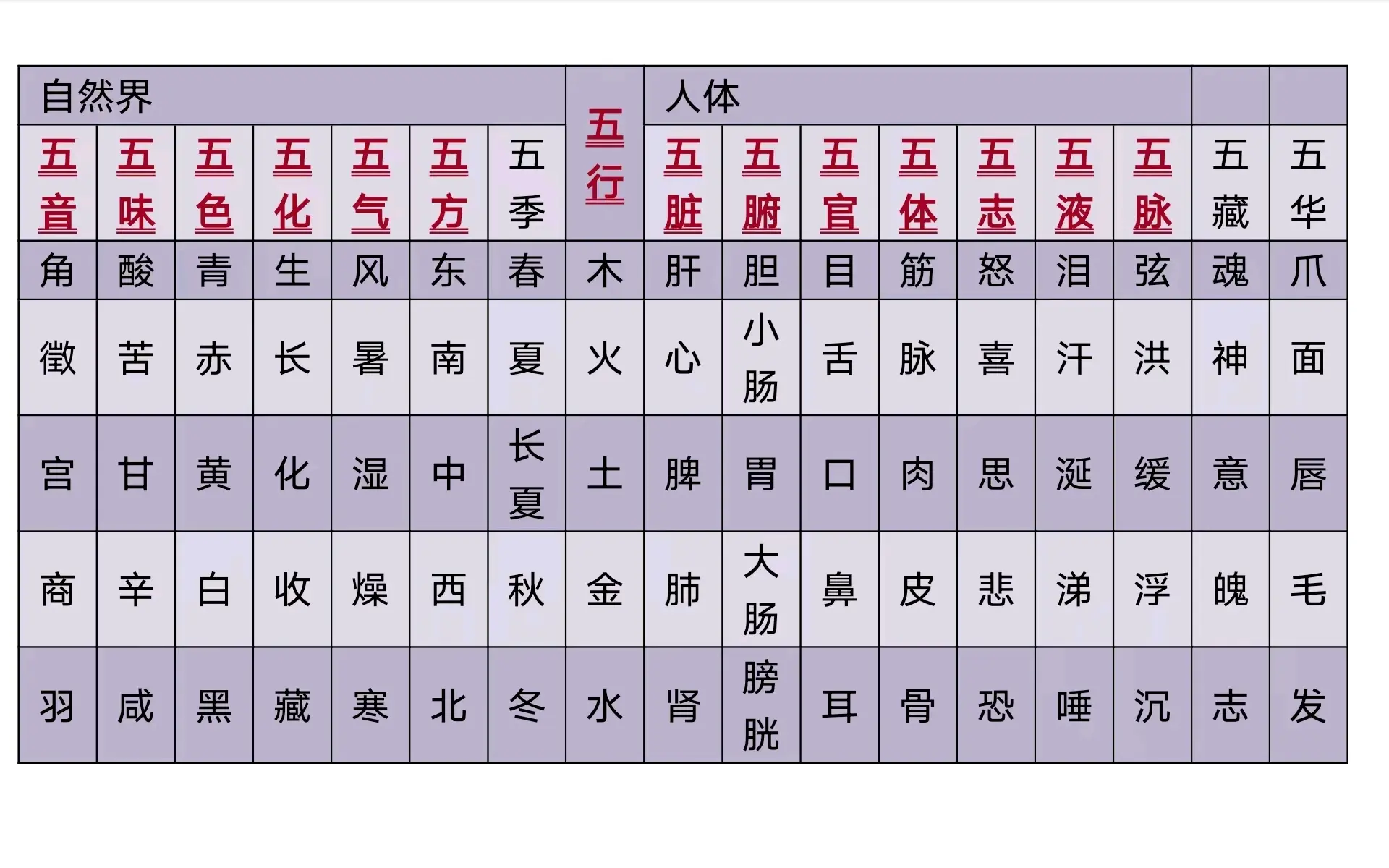 中医执业医师 中医基础理论 五行,五脏,六腑与奇恒之腑