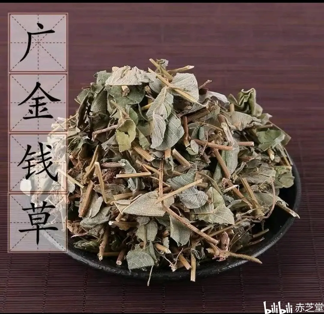 中药金钱草在治疗结石中的作用
