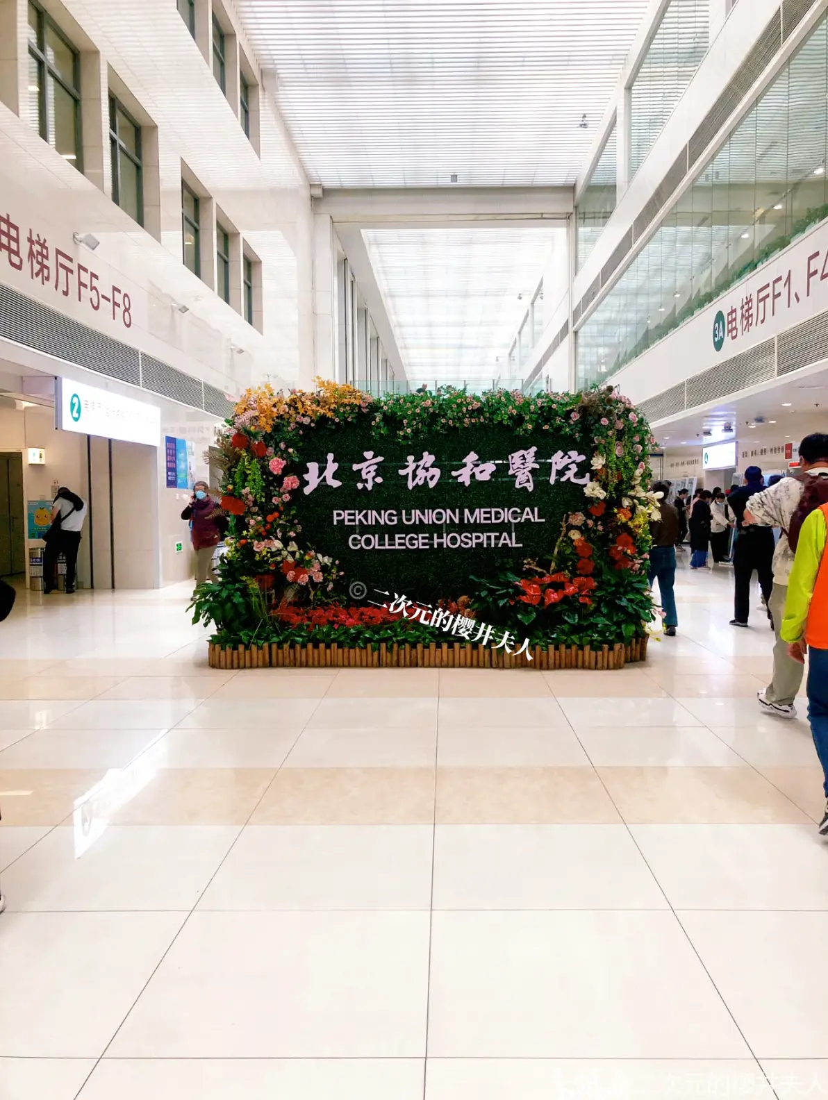 协和医院代挂号，口碑高效率快-协和医院代挂号,口碑高效率快的医生 