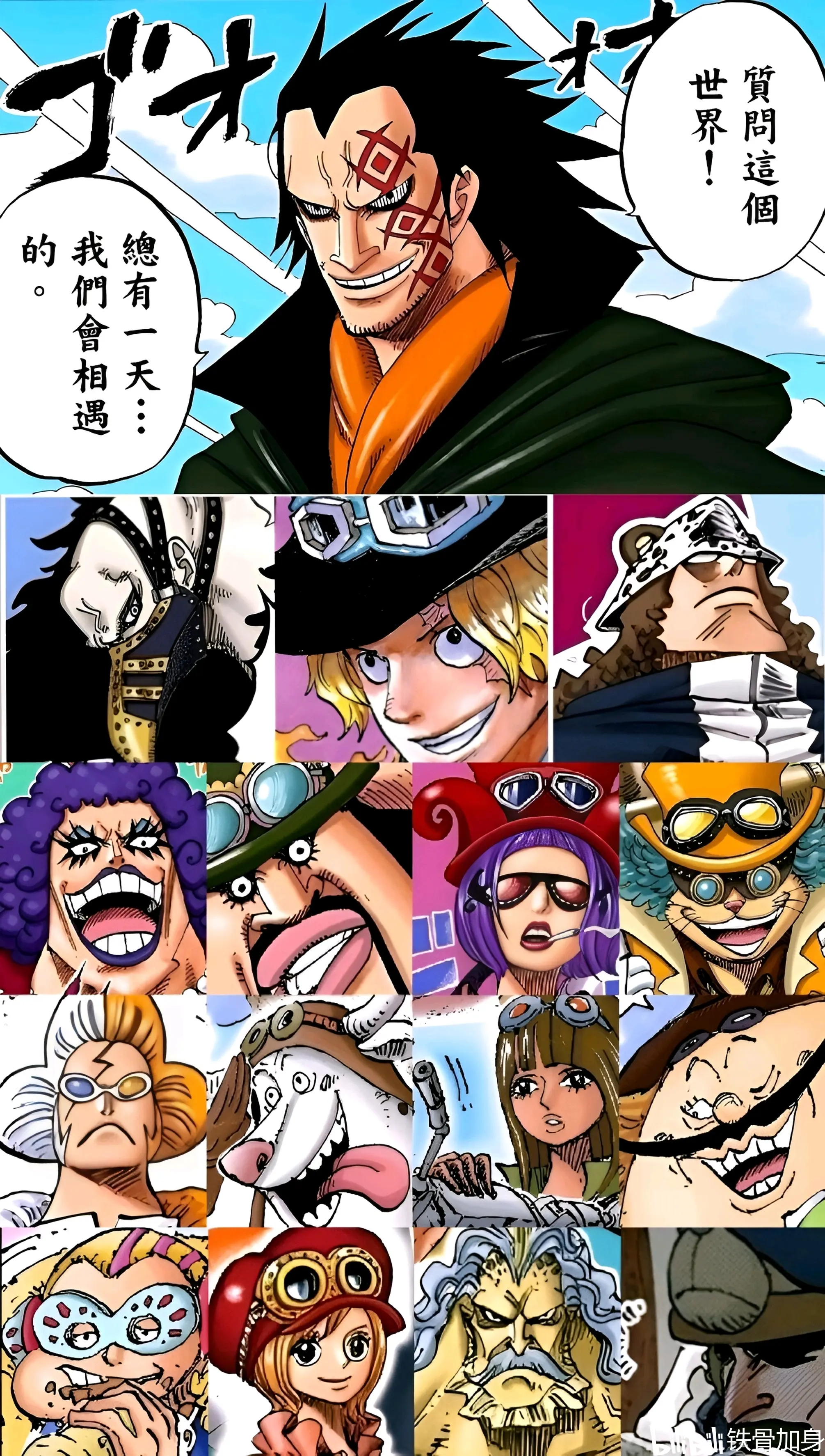 海贼王大型势力主要成员配置图