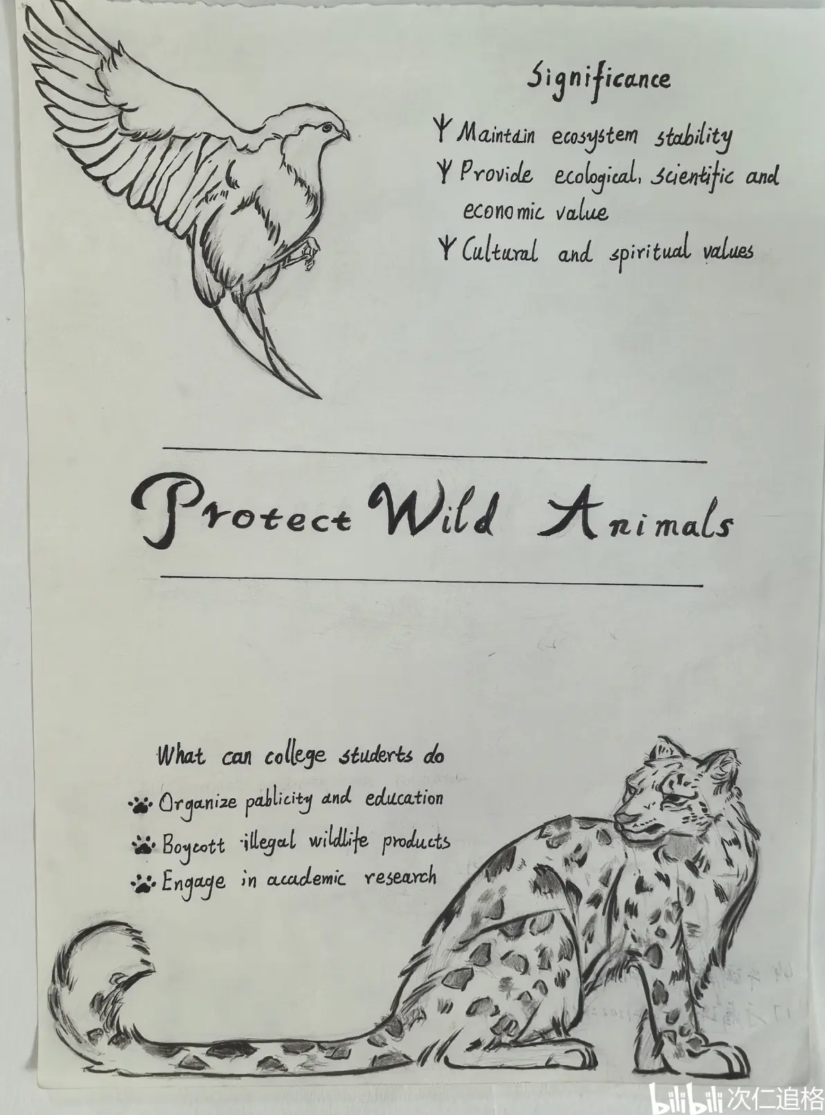 大学生"保护野生动物"海报