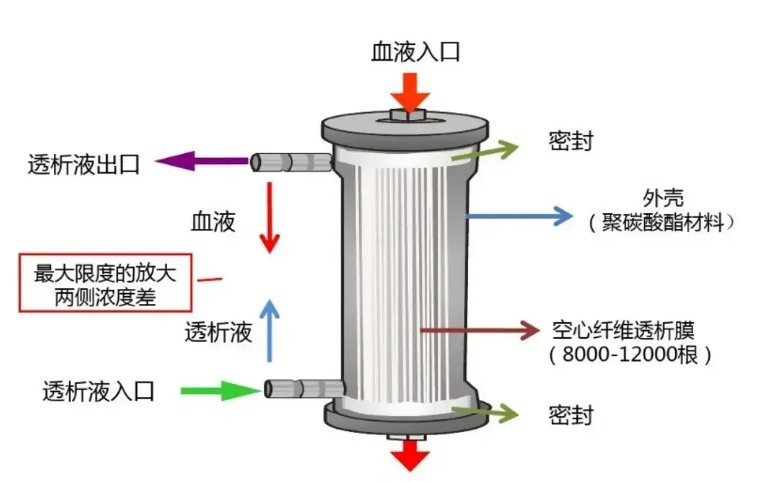 (滤器的解剖示意图)
