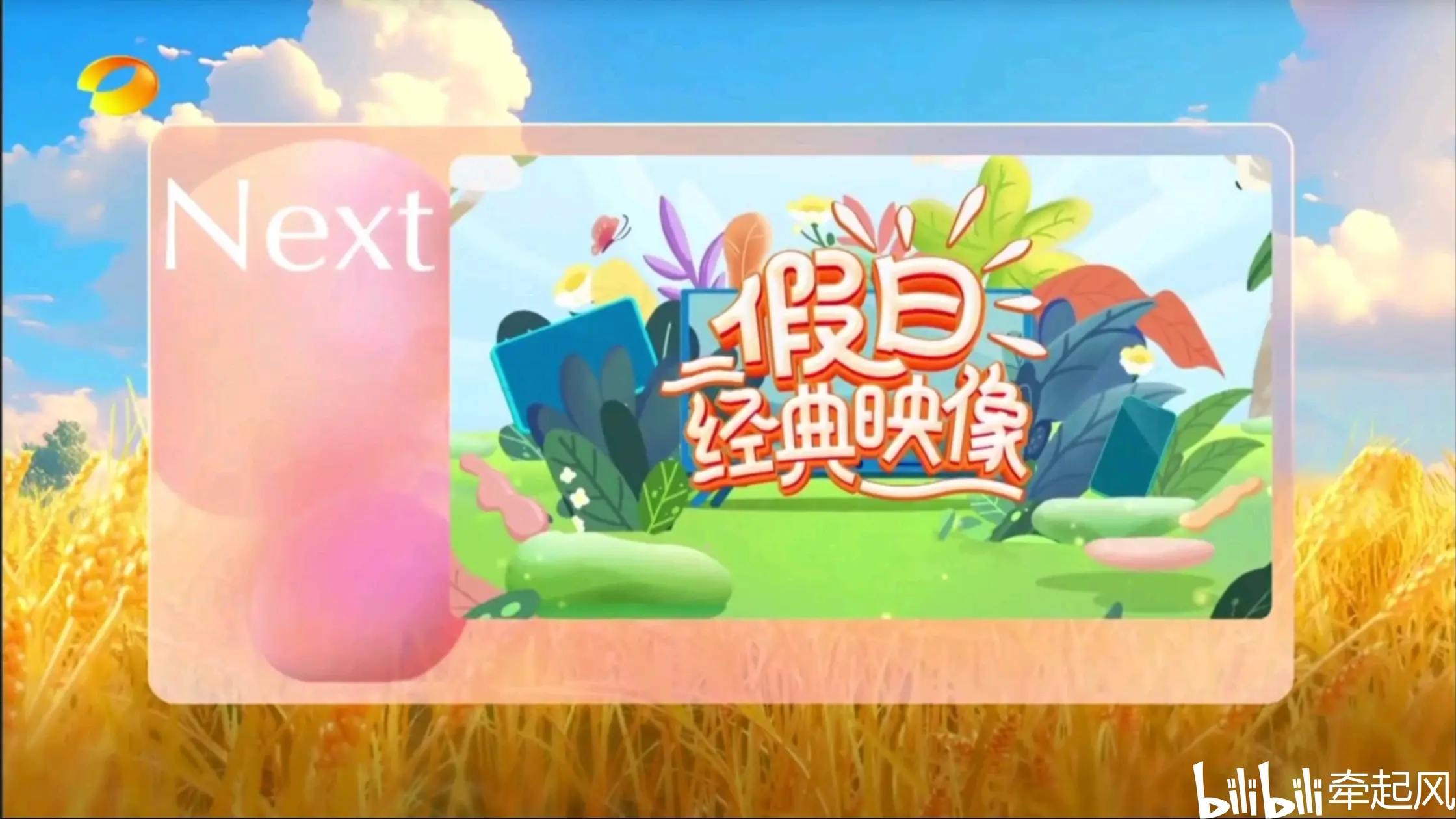 湖南卫视国庆包装导视统计